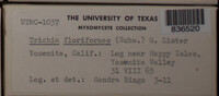 Image Associated With the Occurence